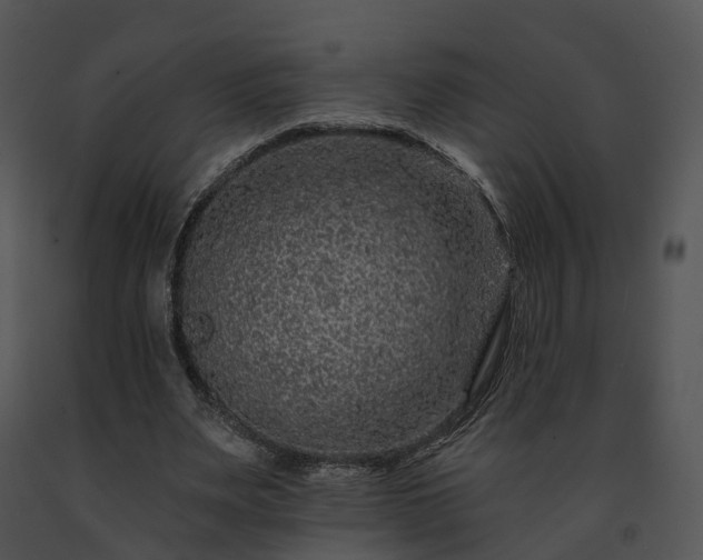 X0000091670487200708301502