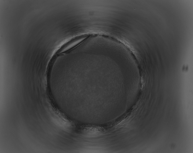 X0000091670488200708301502
