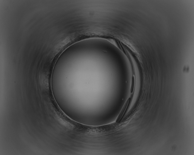 X0000091670489200708301502