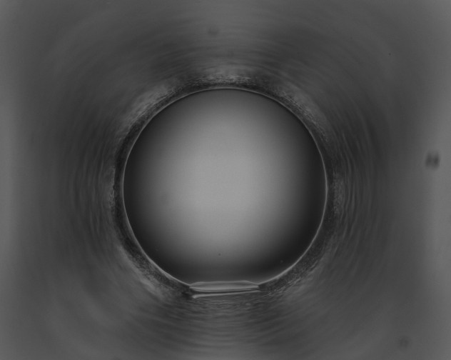 X0000091670490200708301502