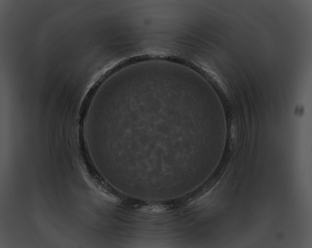 X0000091670492200708301502