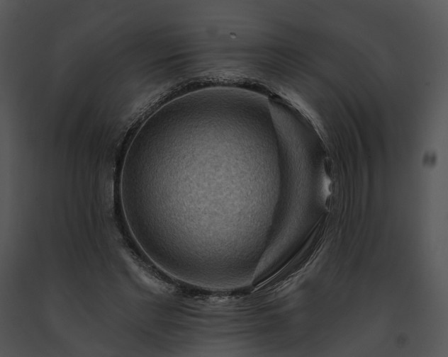 X0000091670493200708301502