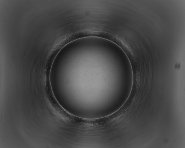 X0000091670494200708301502