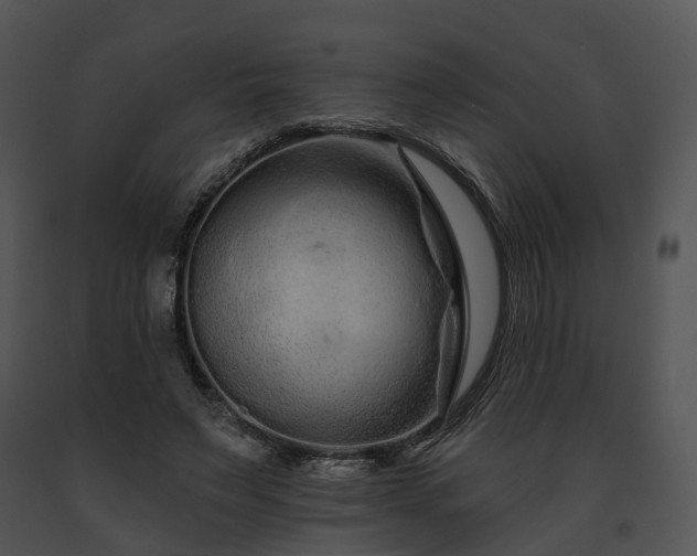 X0000091670495200708301502