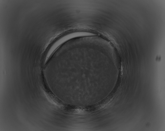 X0000091670496200708301502