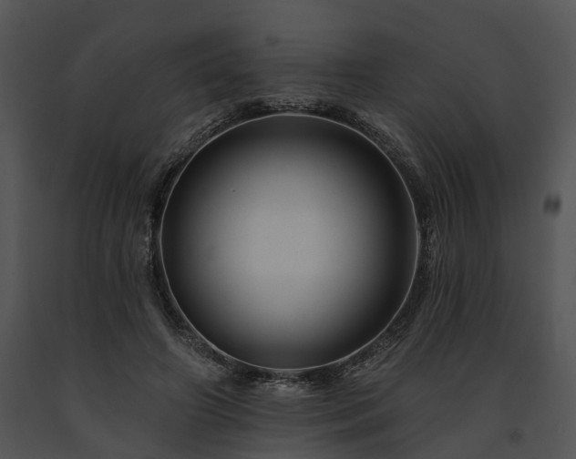 X0000091670498200708301502