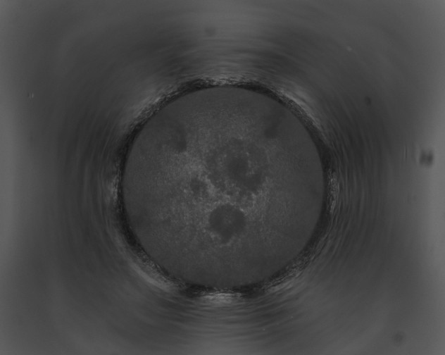 X0000091670499200708301502