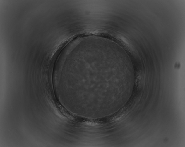 X0000091670500200708301502