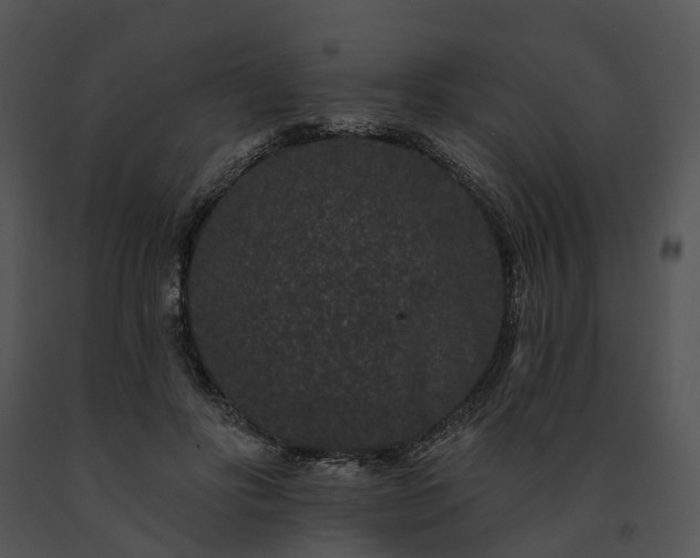 X0000091670502200708301502