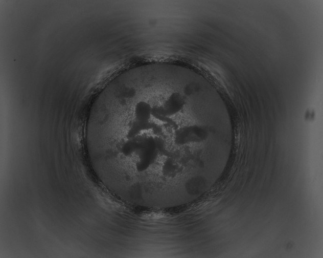 X0000091670503200708301502