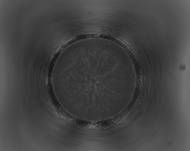 X0000091670504200708301502
