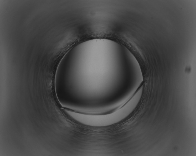 X0000091670505200708301502