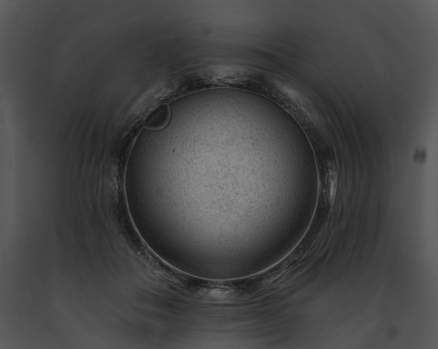 X0000091670506200708301502