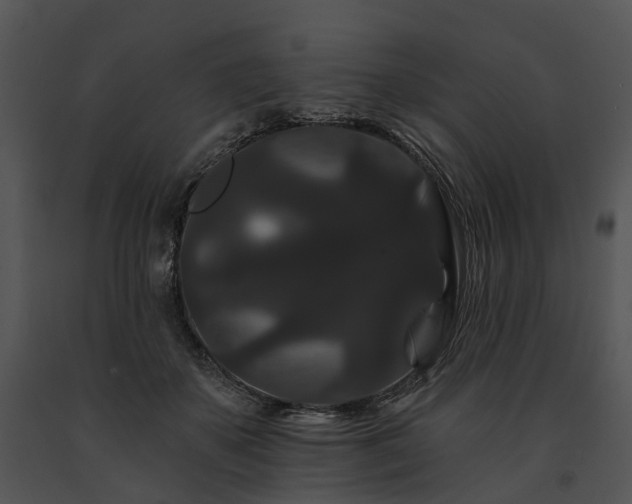 X0000091670507200708301502