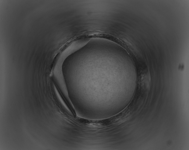 X0000091670508200708301502