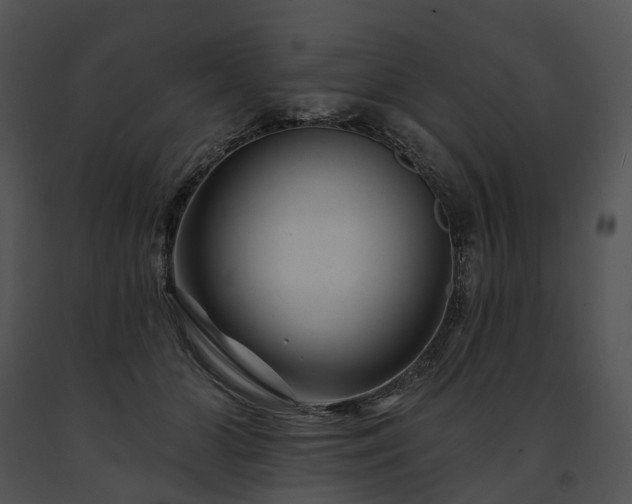X0000091670510200708301502
