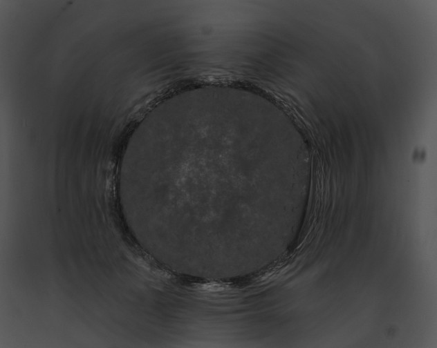 X0000091670511200708301502