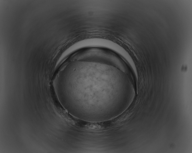 X0000091670512200708301502