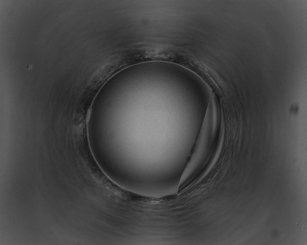 X0000091670513200708301502