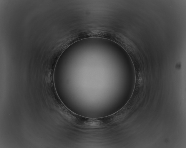X0000091670514200708301502