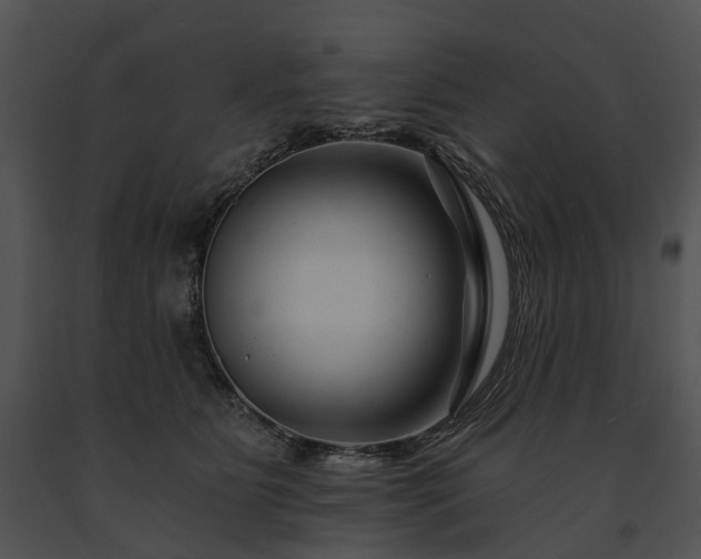 X0000091670515200708301502