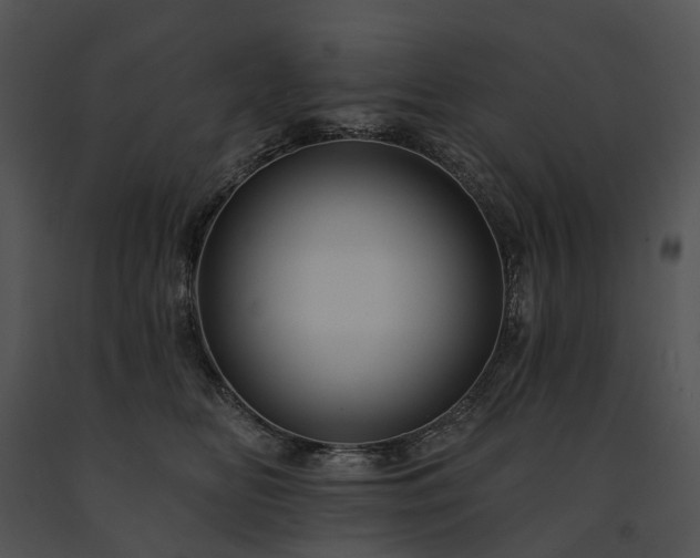 X0000091670518200708301502