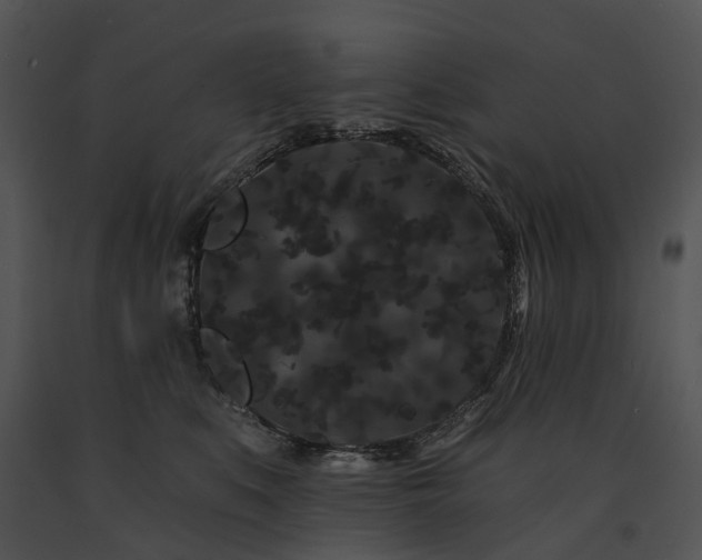 X0000091670519200708301502