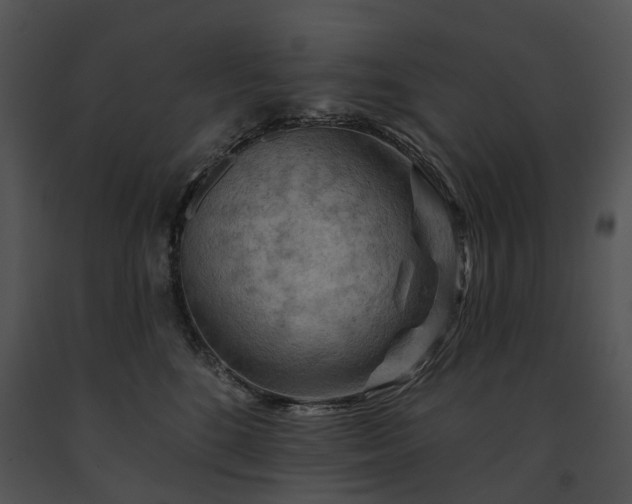 X0000091670520200708301502