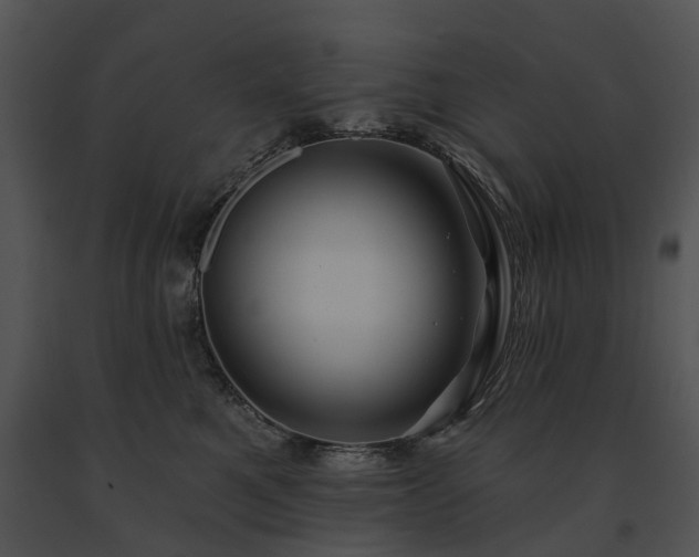 X0000091670521200708301502