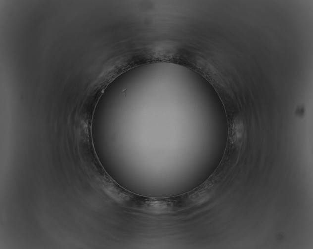 X0000091670522200708301502