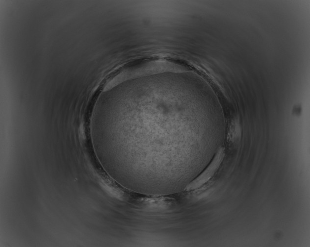 X0000091670524200708301502