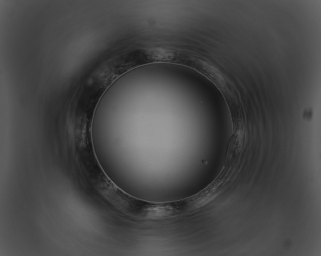 X0000091670525200708301502