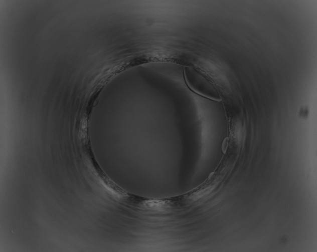 X0000091670526200708301502