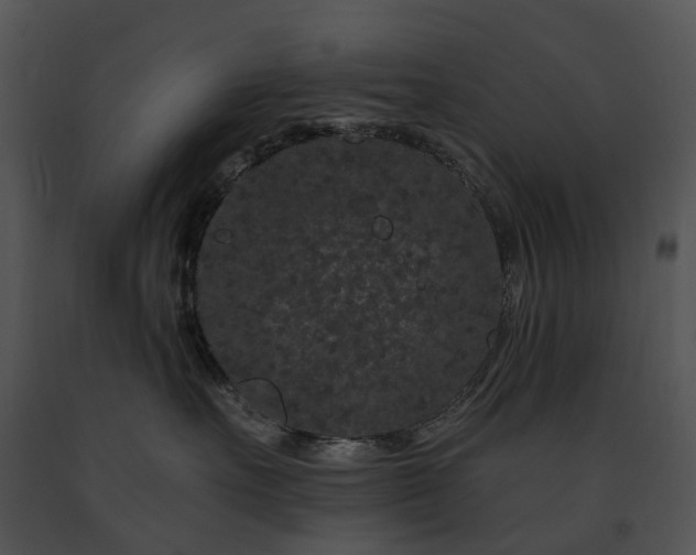 X0000091670527200708301502