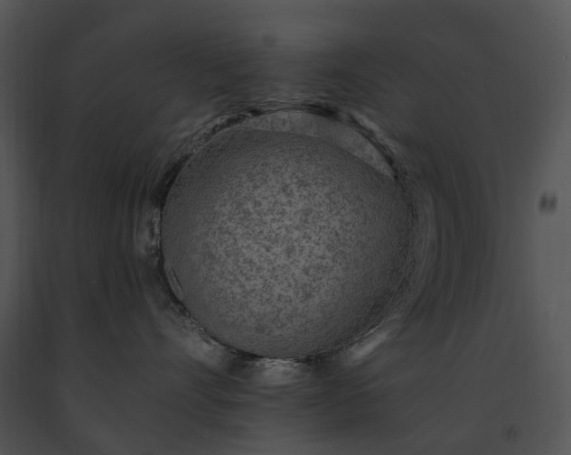 X0000091670528200708301502