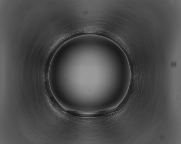 X0000091670530200708301501
