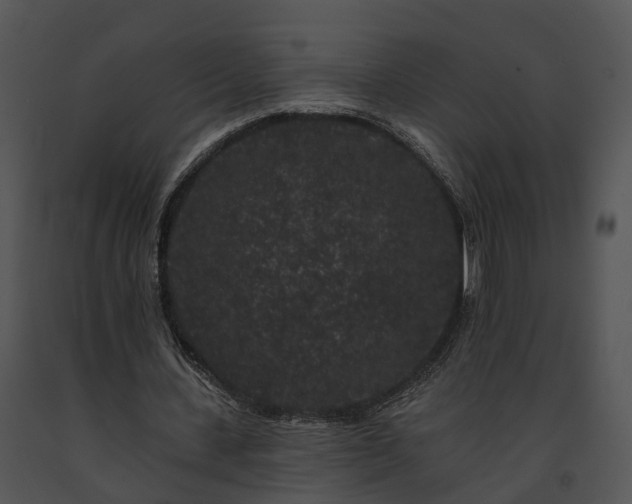X0000091670531200708301501