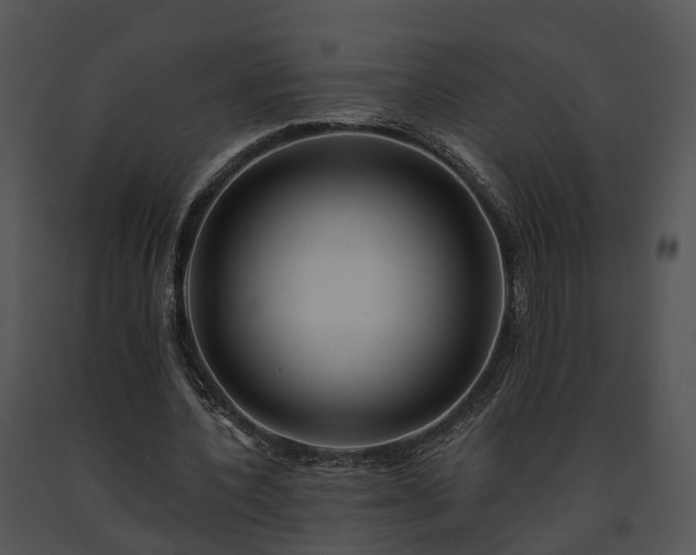 X0000091670532200708301501