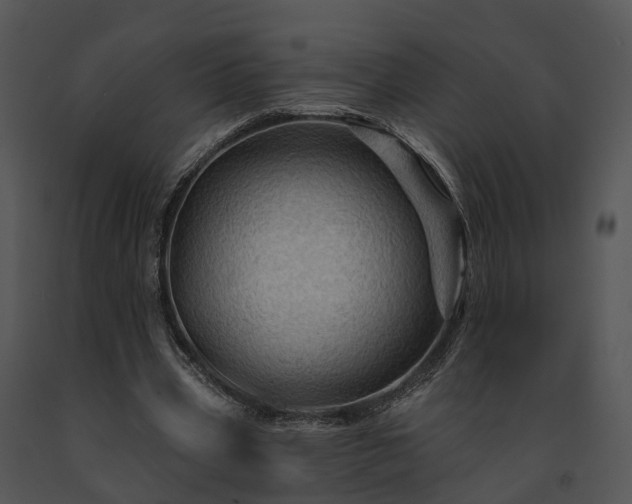 X0000091670533200708301501