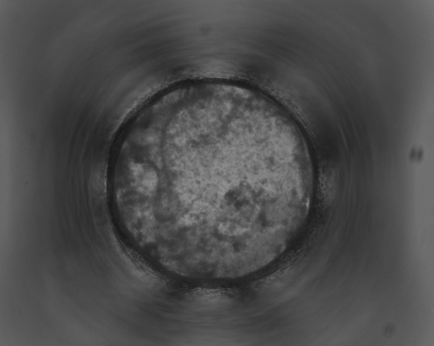 X0000091670534200708301501