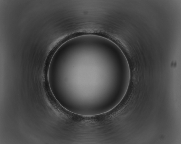X0000091670536200708301501