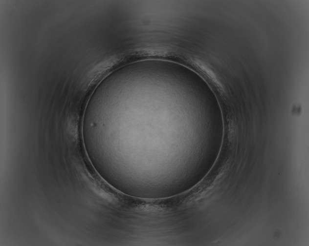 X0000091670537200708301501