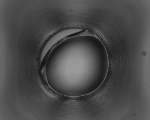 X0000091670538200708301501