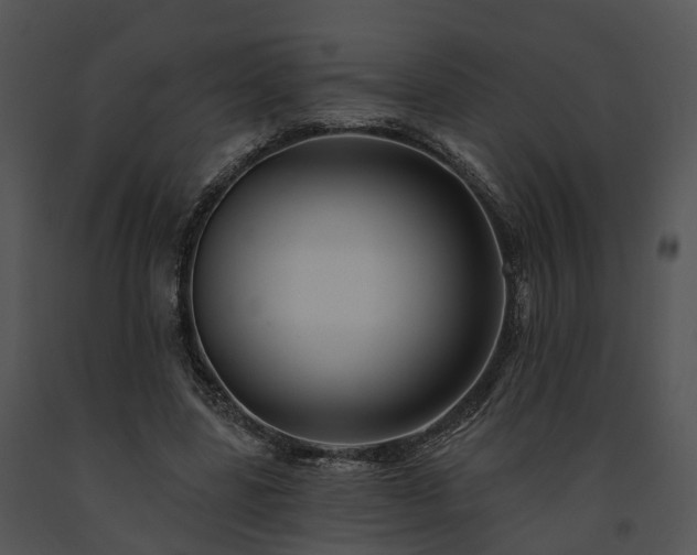 X0000091670539200708301501