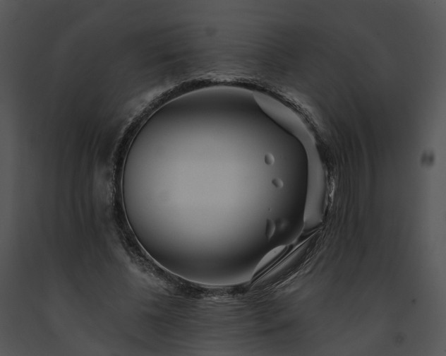 X0000091670540200708301501