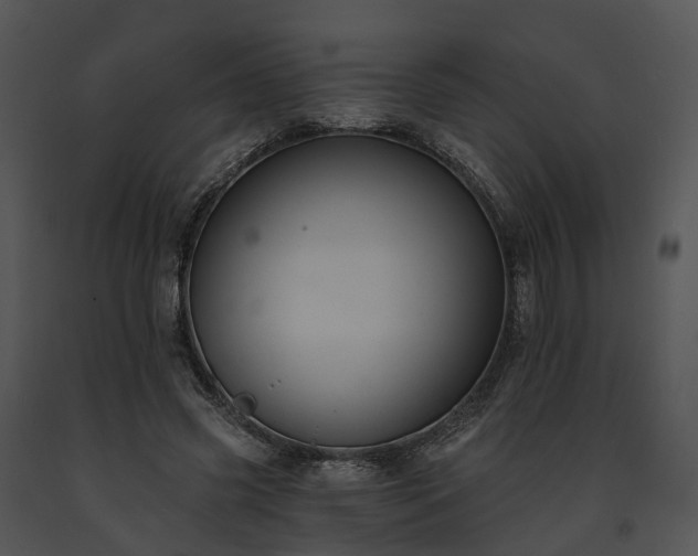 X0000091670541200708301501