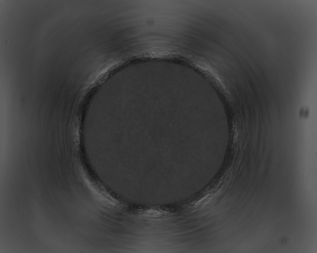 X0000091670542200708301501
