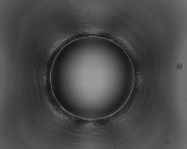 X0000091670544200708301501