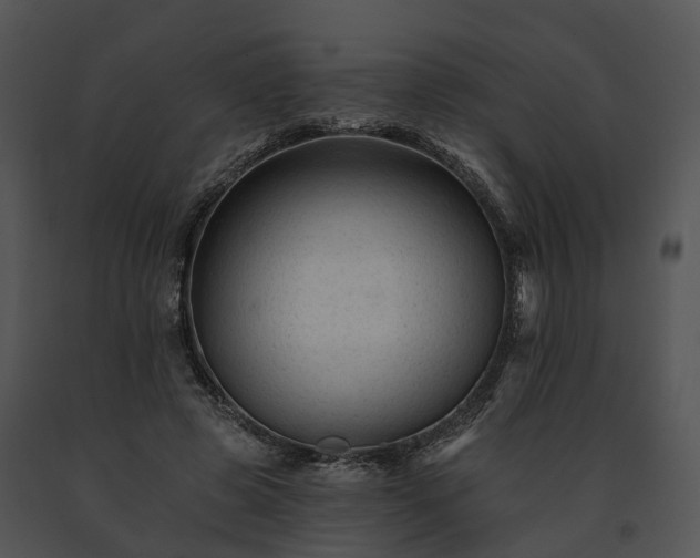 X0000091670545200708301501