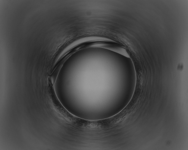 X0000091670546200708301501